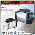 5kVA Hot Sale Double-Bearing Alterantor with Brush AVR Battery Charge, Electric